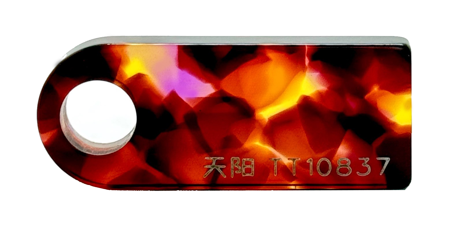 TT10837