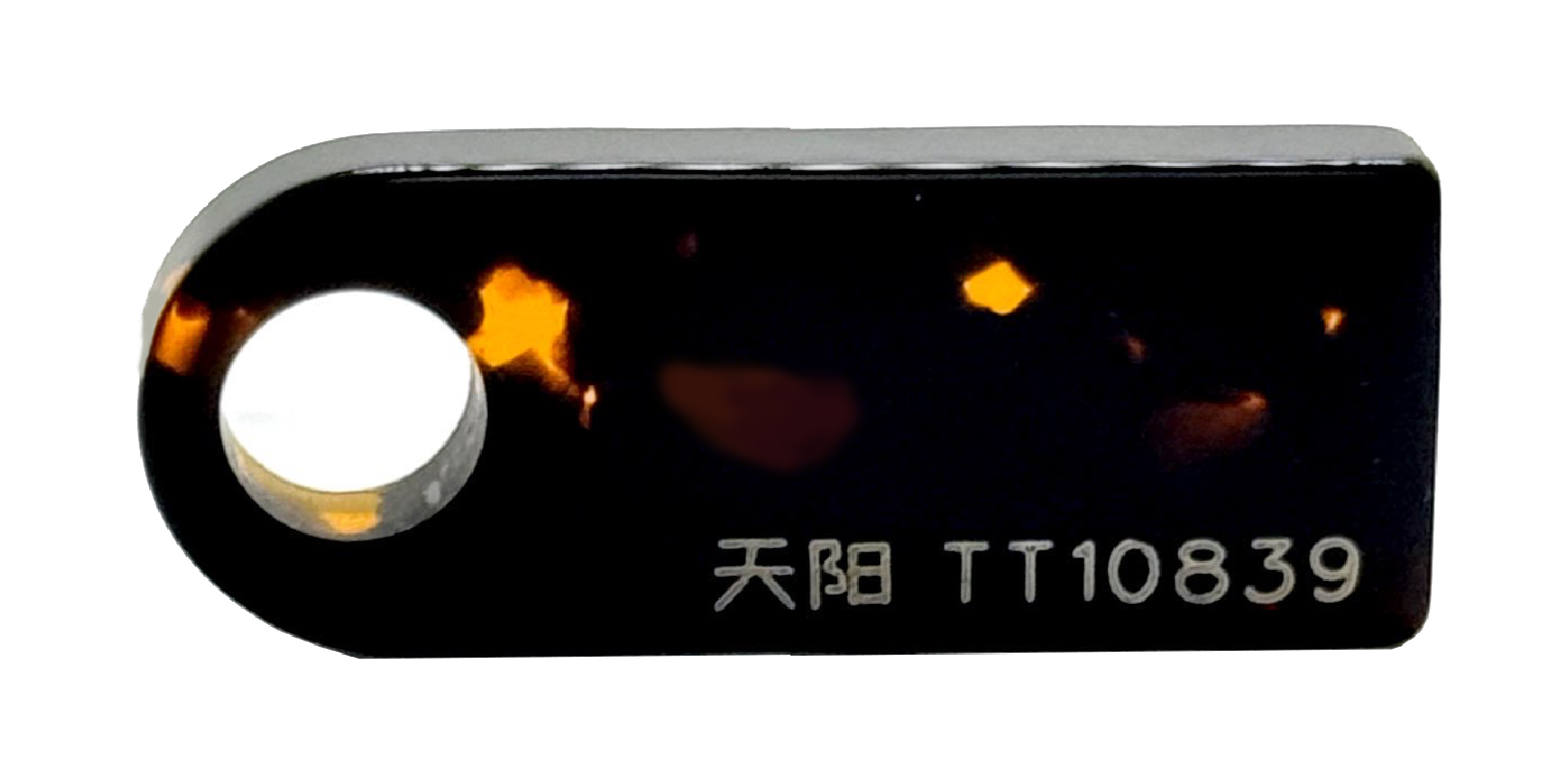 TT10839