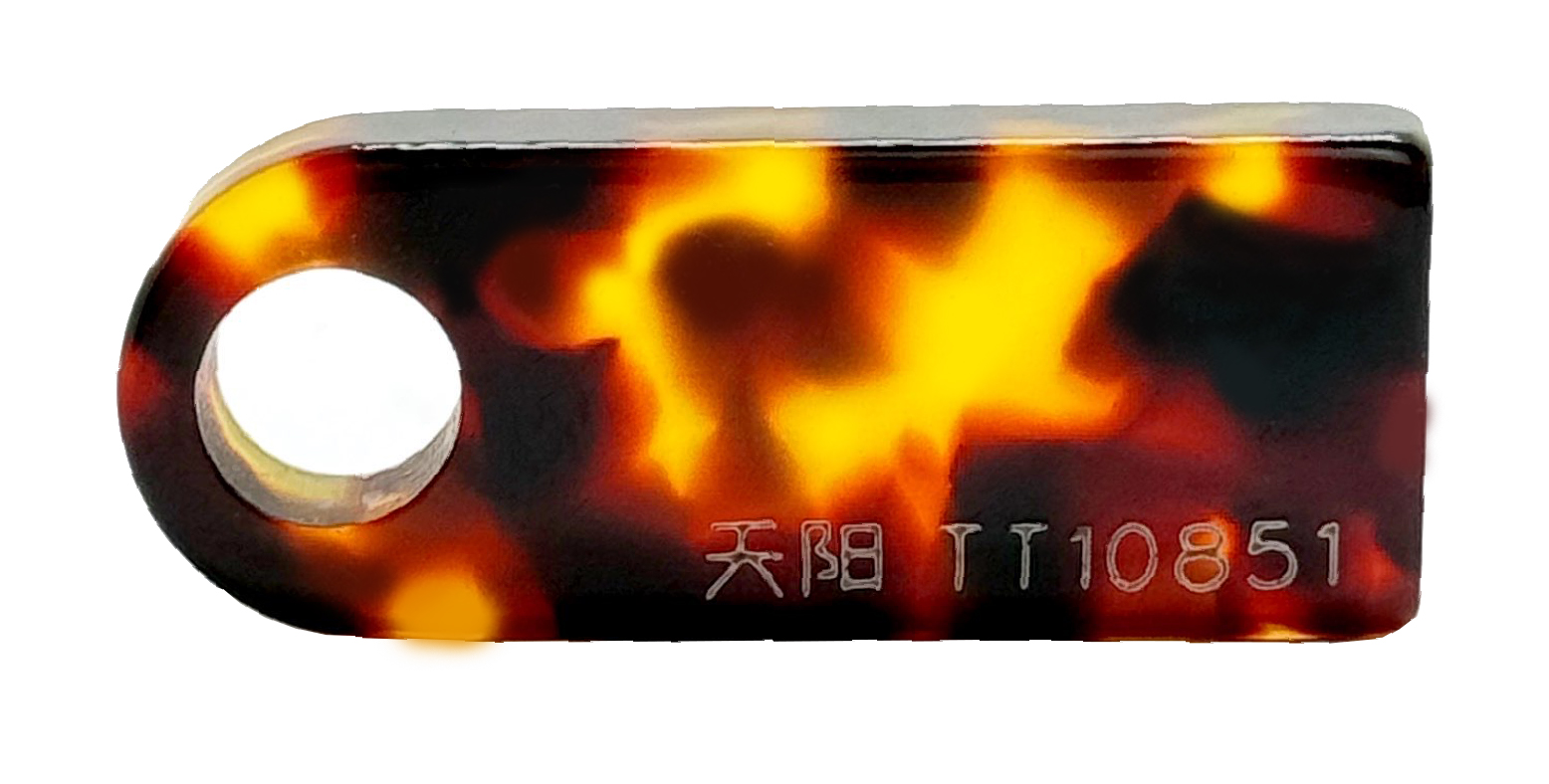 TT10851