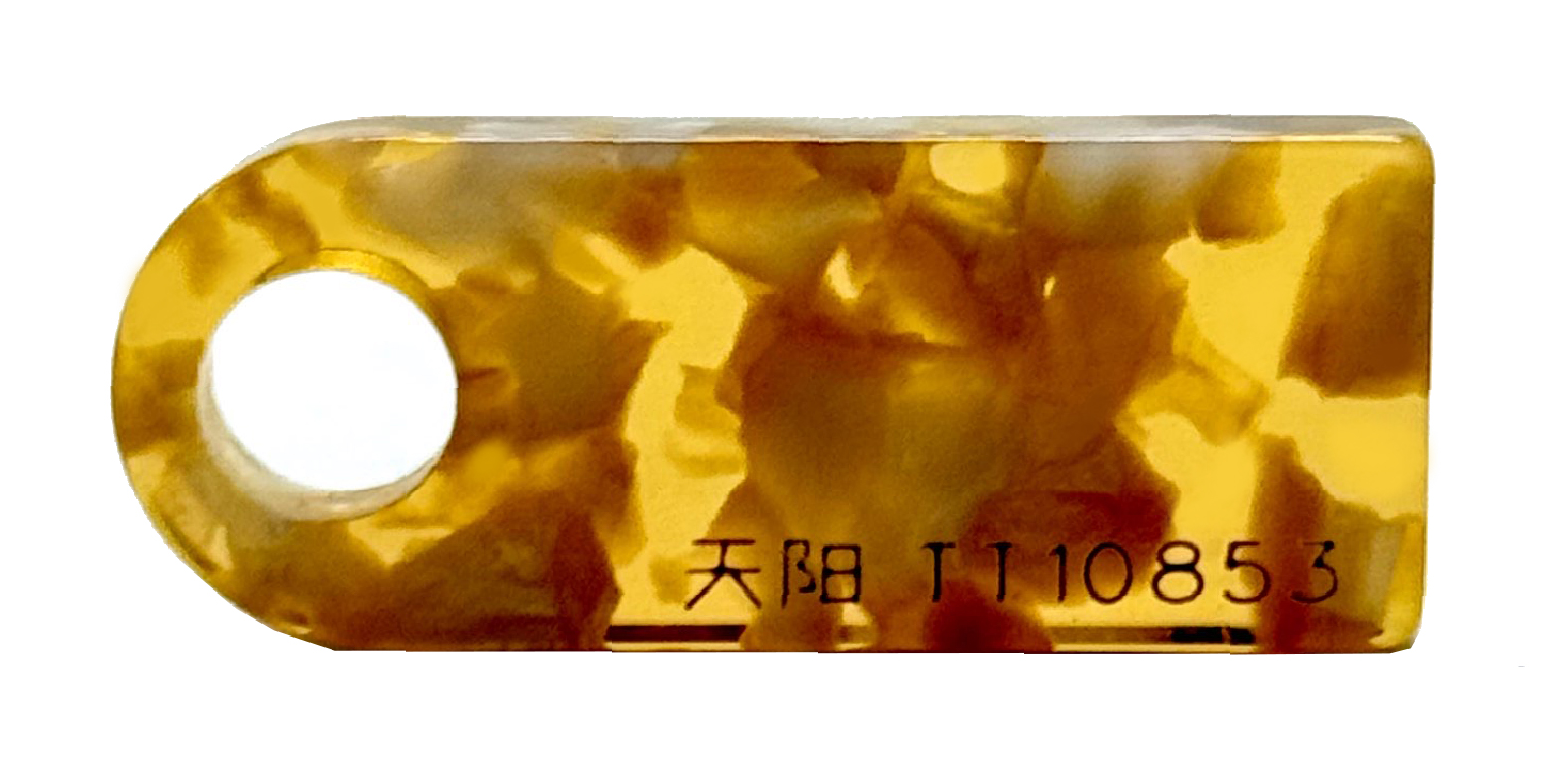 TT10853