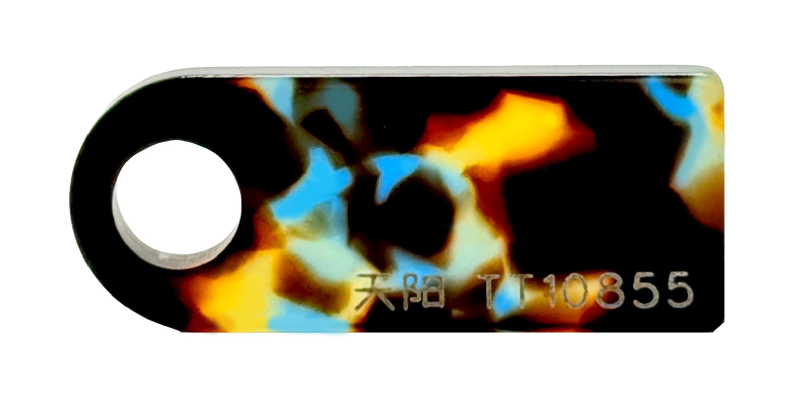 TT10855