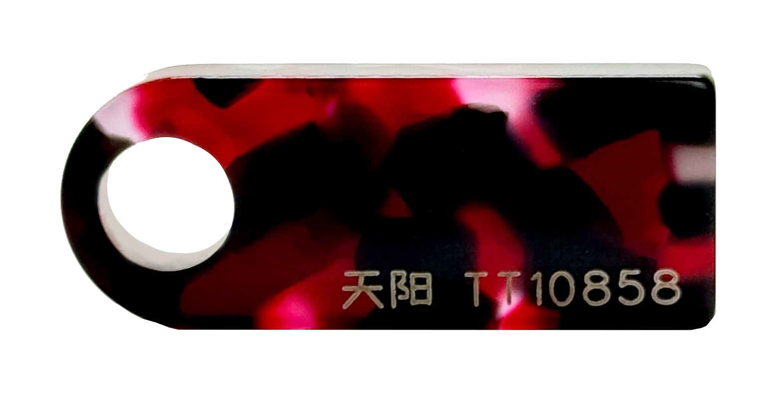 TT10858